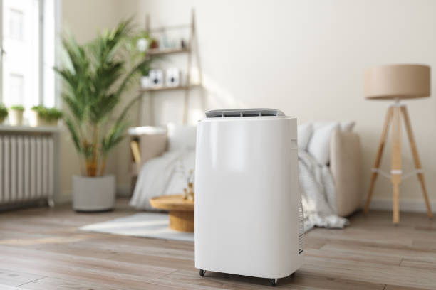 Best Ductless Mini-Split Systems in Waynesboro, GA